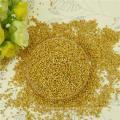 Yellow Millet in husk / foxtail for bird feeds